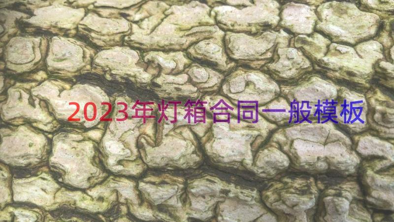 2023年灯箱合同一般（模板14篇）