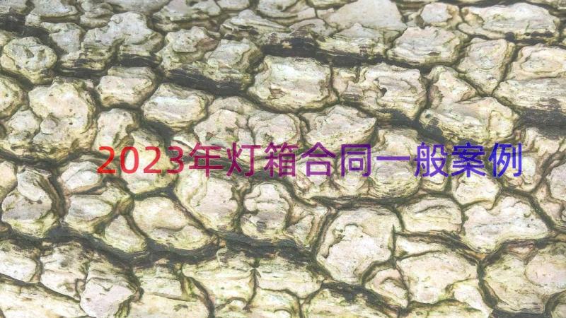 2023年灯箱合同一般（案例18篇）