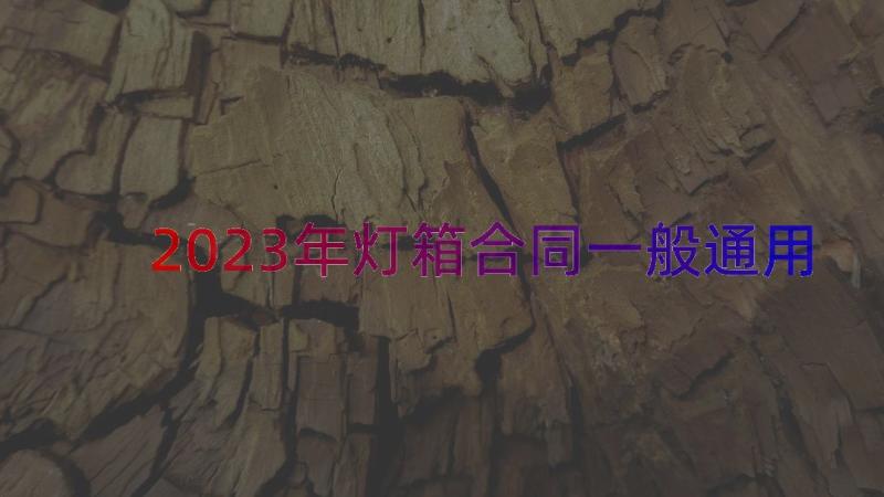 2023年灯箱合同一般（通用14篇）