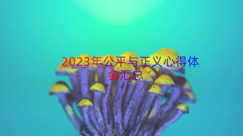 2023年公平与正义心得体会（汇总17篇）