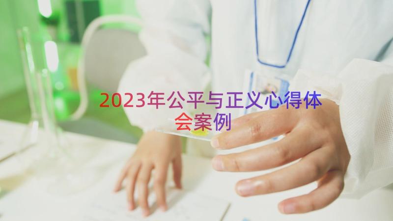 2023年公平与正义心得体会（案例18篇）