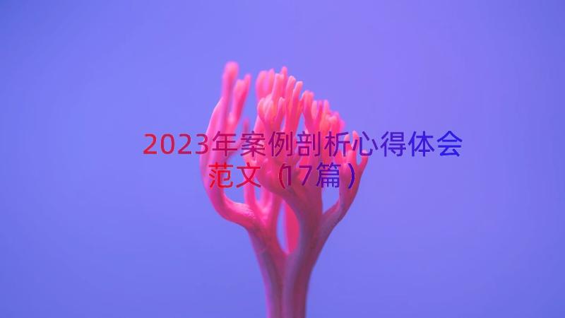 2023年案例剖析心得体会范文（17篇）