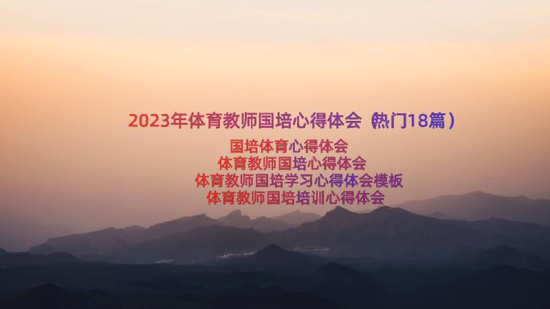 2023年体育教师国培心得体会（热门18篇）