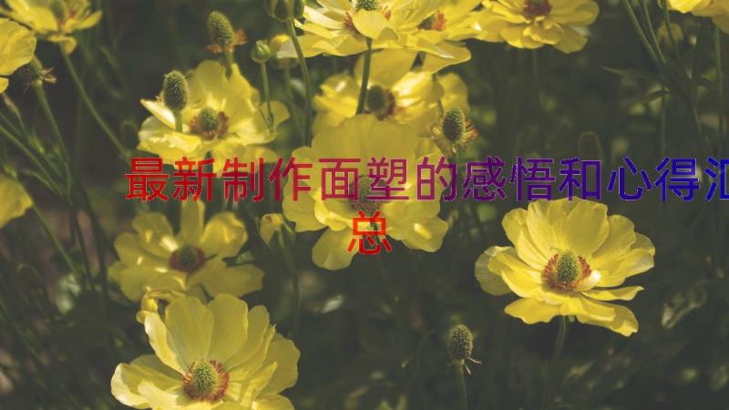 最新制作面塑的感悟和心得（汇总15篇）