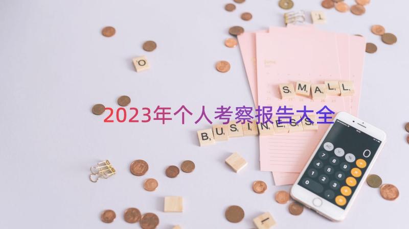 2023年个人考察报告大全（19篇）