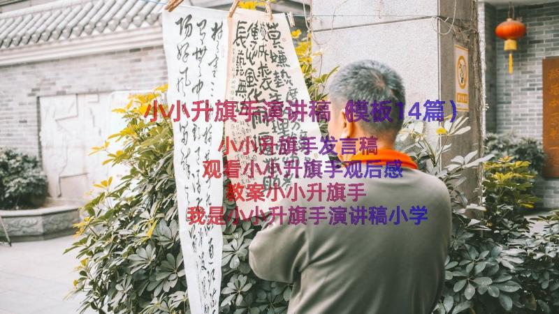 小小升旗手演讲稿（模板14篇）