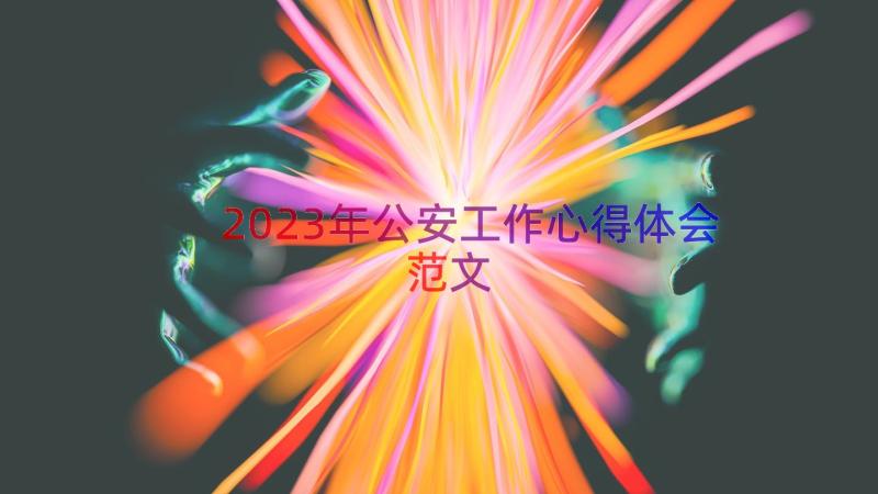 2023年公安工作心得体会范文（14篇）