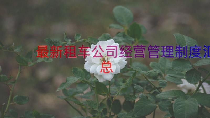 最新租车公司经营管理制度（汇总15篇）