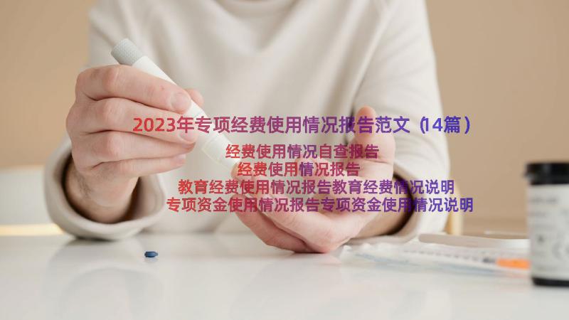 2023年专项经费使用情况报告范文（14篇）