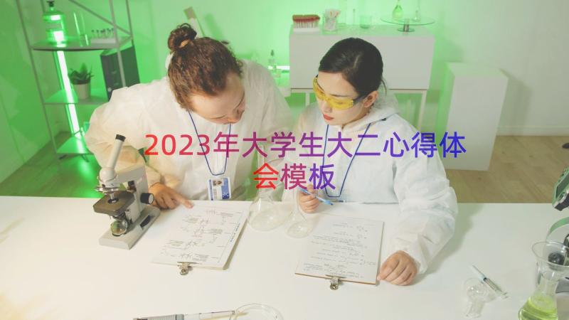 2023年大学生大二心得体会（模板13篇）