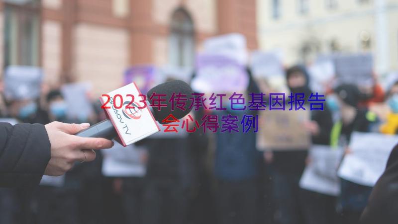 2023年传承红色基因报告会心得（案例17篇）