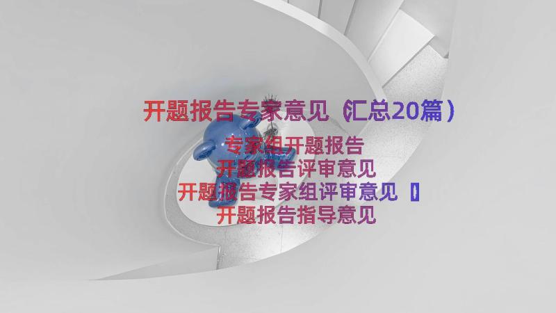 开题报告专家意见（汇总20篇）