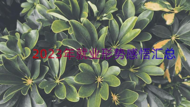 2023年就业形势感悟（汇总18篇）