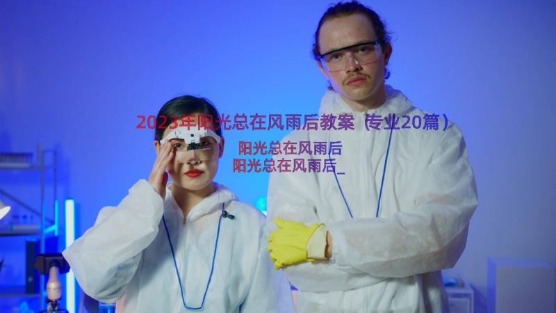 2023年阳光总在风雨后教案（专业20篇）