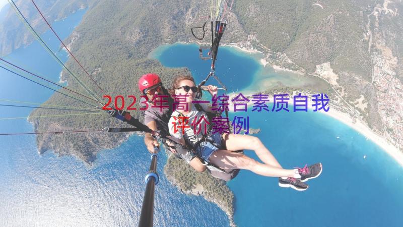 2023年高一综合素质自我评价（案例16篇）