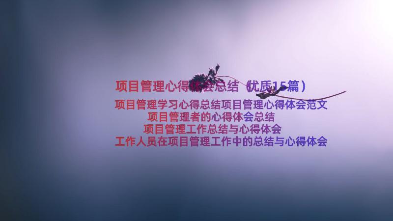 项目管理心得体会总结（优质15篇）