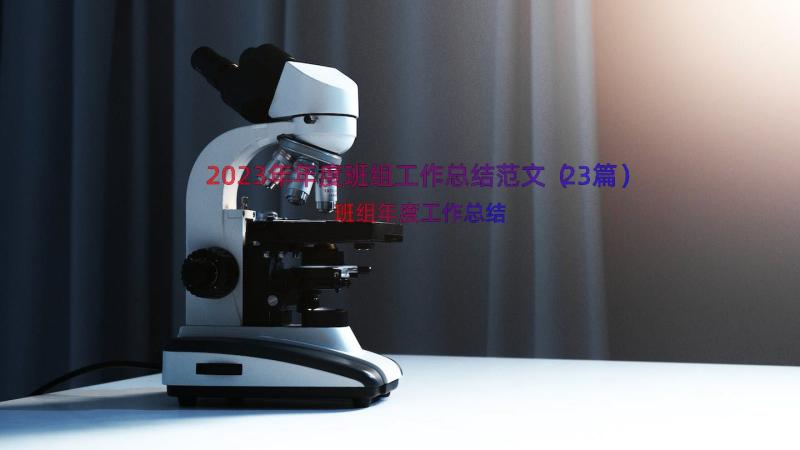 2023年年度班组工作总结范文（23篇）