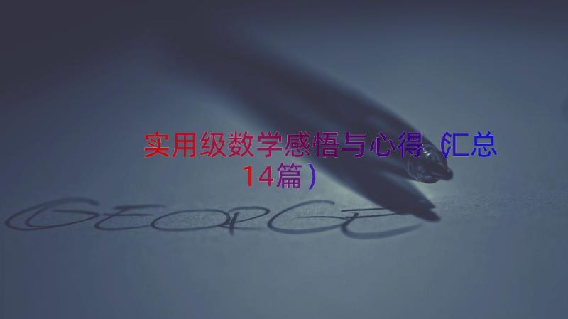 实用级数学感悟与心得（汇总14篇）