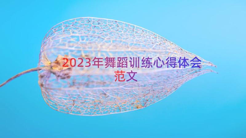 2023年舞蹈训练心得体会范文（14篇）