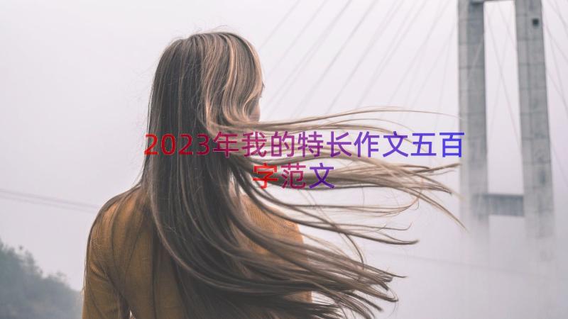 2023年我的特长作文五百字范文（12篇）