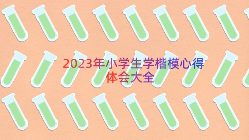 2023年小学生学楷模心得体会大全（17篇）