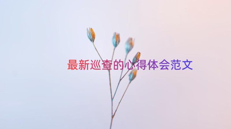 最新巡查的心得体会范文（17篇）