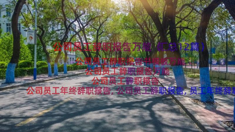 公司员工辞职报告万能（汇总12篇）