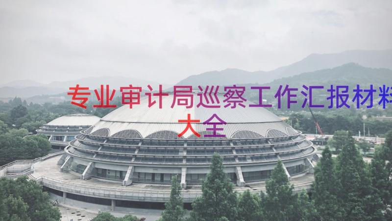 专业审计局巡察工作汇报材料大全（13篇）