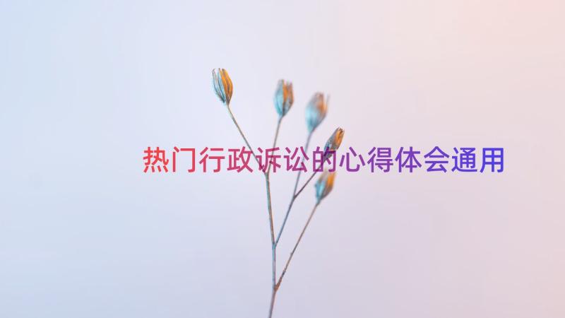 热门行政诉讼的心得体会（通用13篇）