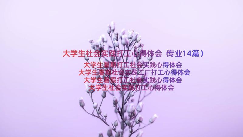 大学生社会实践打工心得体会（专业14篇）