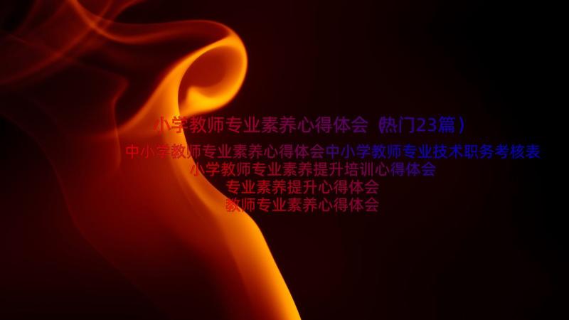 小学教师专业素养心得体会（热门23篇）