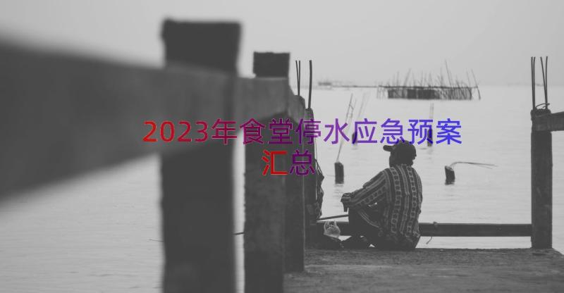 2023年食堂停水应急预案（汇总18篇）