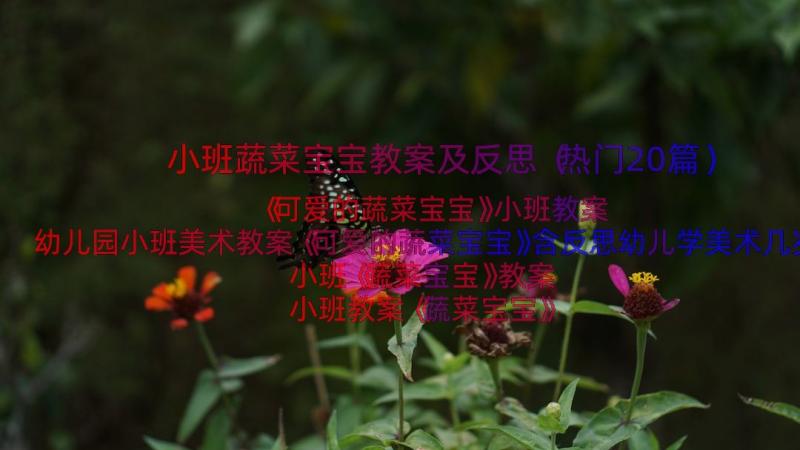 小班蔬菜宝宝教案及反思（热门20篇）