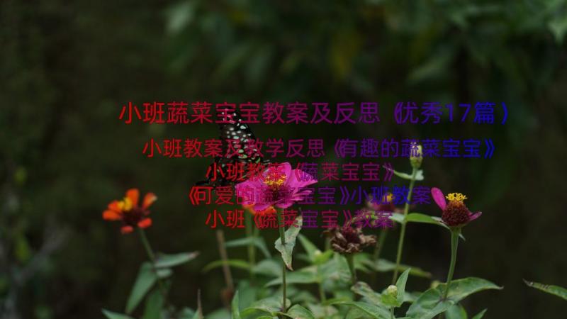 小班蔬菜宝宝教案及反思（优秀17篇）