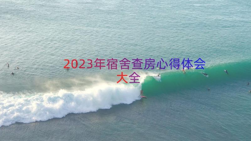 2023年宿舍查房心得体会大全（13篇）