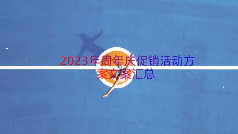 2023年周年庆促销活动方案文案（汇总17篇）