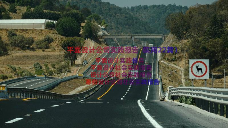 平面设计公司实践报告（实用22篇）