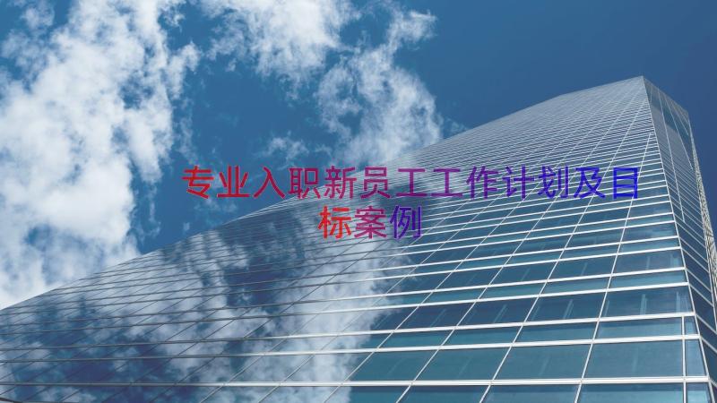 专业入职新员工工作计划及目标（案例16篇）