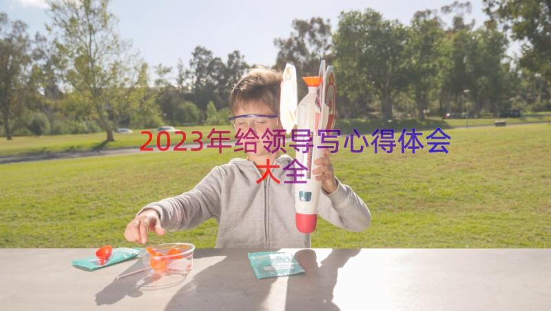 2023年给领导写心得体会大全（15篇）