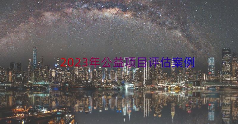 2023年公益项目评估（案例18篇）