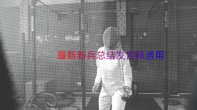 最新新兵总结发言稿（通用14篇）