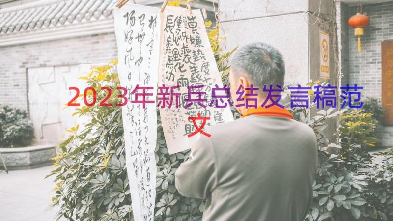 2023年新兵总结发言稿范文（17篇）