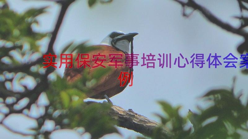 实用保安军事培训心得体会（案例15篇）