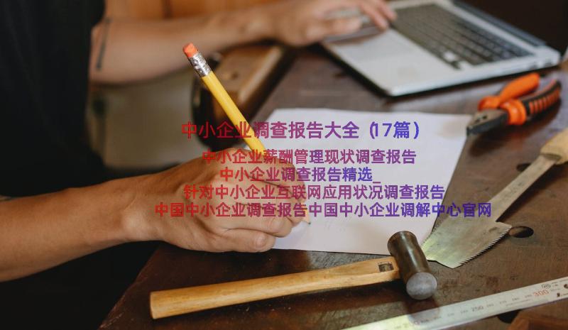 中小企业调查报告大全（17篇）