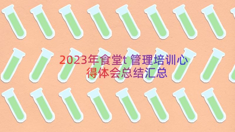 2023年食堂t管理培训心得体会总结（汇总16篇）