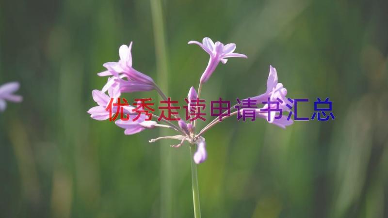 优秀走读申请书（汇总17篇）