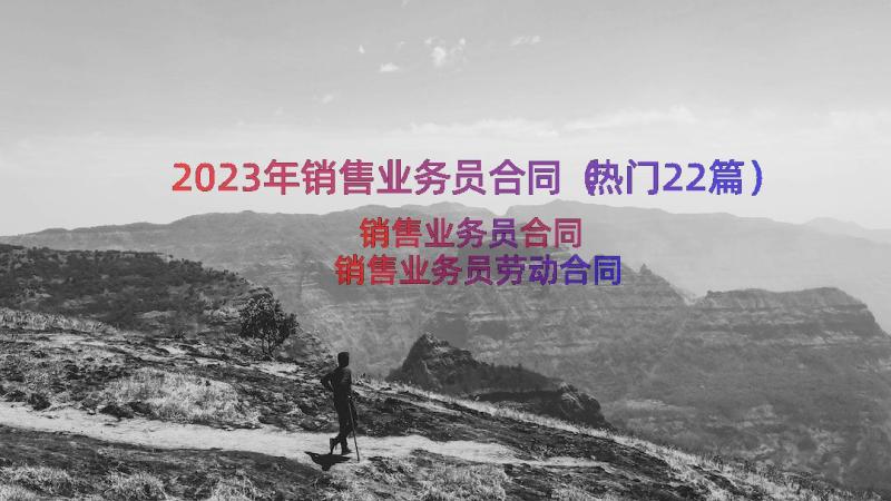 2023年销售业务员合同（热门22篇）