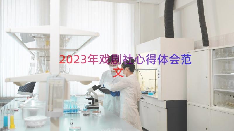 2023年戏剧社心得体会范文（13篇）