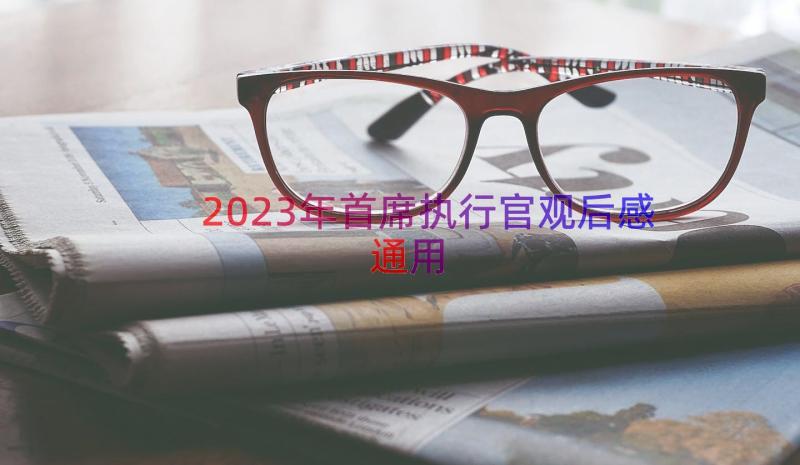 2023年首席执行官观后感（通用19篇）