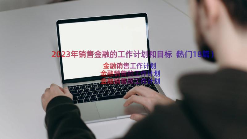 2023年销售金融的工作计划和目标（热门18篇）